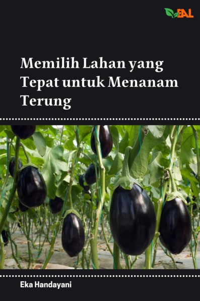 Memilih Lahan yang Tepat untuk Menanam Terung